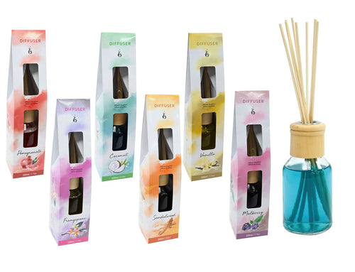 DIFFUSER 100mL 6ASST