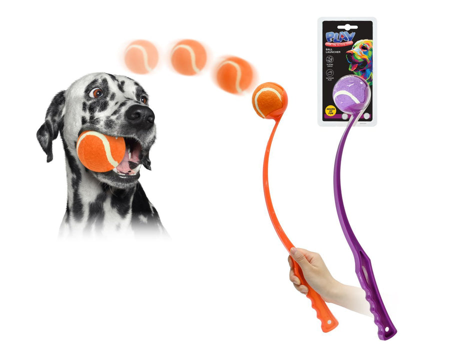 PET BALL CHUCKER 48CM 2ASTT