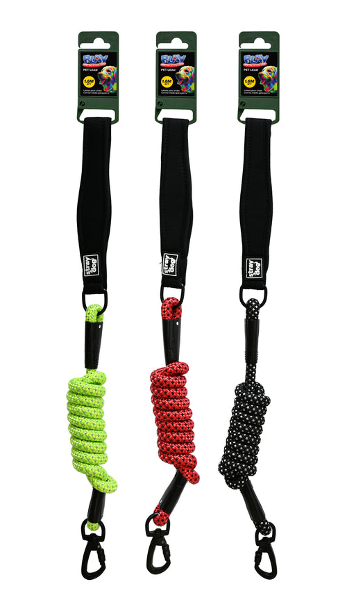 PET LEAD W/CARABINER 1.6M 2ASS