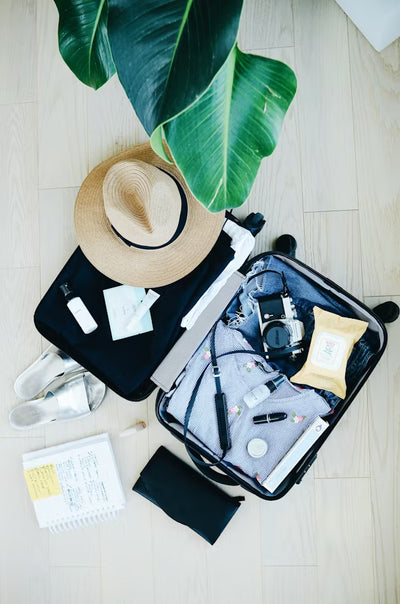 Travel Accessories